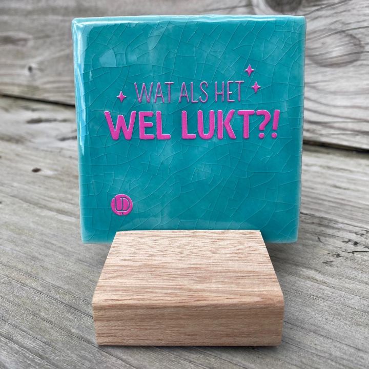 Wat als het wel lukt Turquoise met standaard.jpg